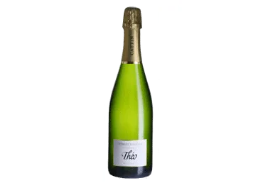 Putojantis baltasis sausas vynas Cremant Theo Extra Brut, 750 ml