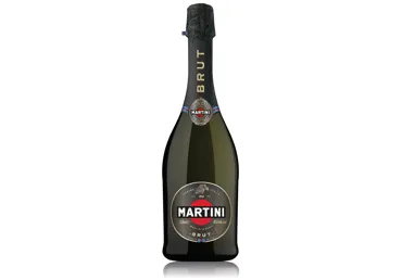 Putojantis baltasis sausas vynas MARTINI BRUT, 750 ml
