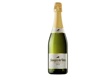 Putojantis baltasis sausas vynas SANGRE DE TORO BRUT, 750 ml