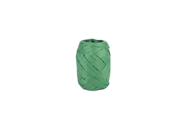 Dāvanu lente ELEMENTS SENSE daž.krās.10m