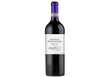 Raudonasis sausas vynas DOMAINE SAINTE CECILE MERLOT, 750 ml