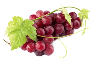 Vīnogas RED GLOBE sarkanās kg