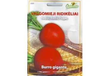 Ridikėliai „Burro gigante“ - 5