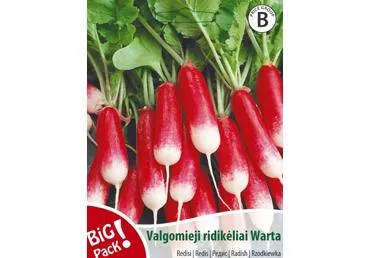 Sēklas: Redīsi WARTA gab.