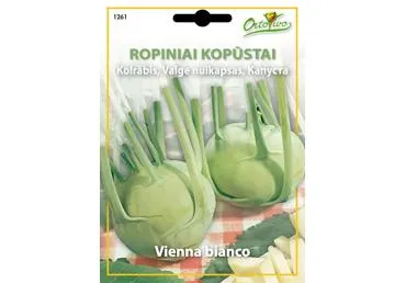 Ropiniai kopūstai „Rapa di Vienna bianco“ - 2