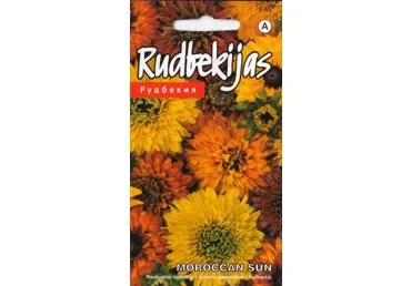 Rudbekija Moroccan Sun