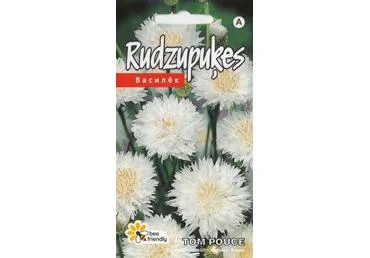 Rugiagėlių sėklos TOM POUCE