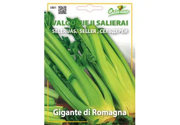Salierai "Gigante di Romagna" - 2