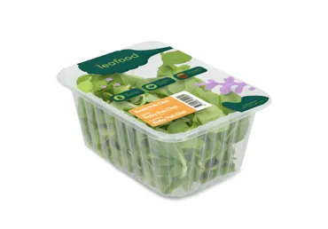 Salotos BABY PAK CHOI LEAFOOD, 70 g