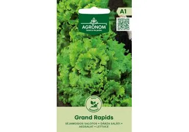 Salotos Grand rapids,  AGRONOM