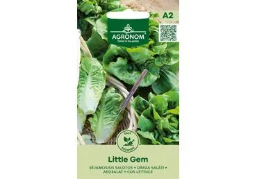 Salotos Little Gem,  AGRONOM