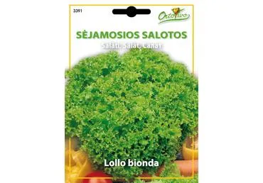 Salotos „Lollo bionda“ - 4