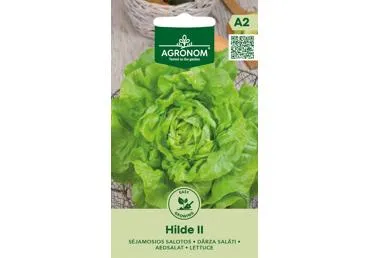 Salotų sėklos HILDE II,  AGRONOM