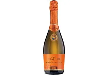 Sausas rūšinis putojantis vynas CASA CHARLIZE BRUT PROSECCO DOC (11%), 750 ml