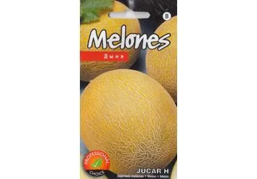 Sėjamasis melionas JUCAR H