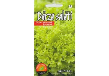 Sėjamoji salota GUIDIZEL