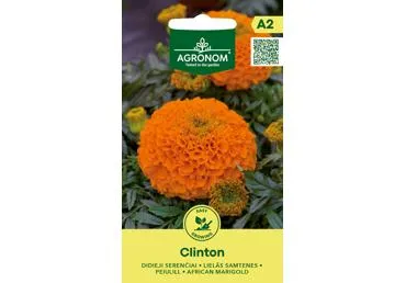 Serenčiai Clinton,  AGRONOM