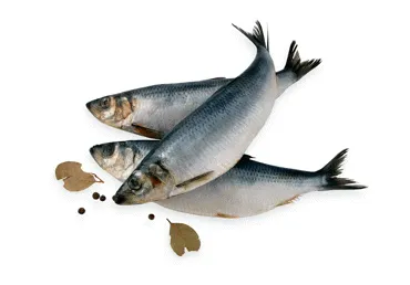 Silpnai sūdyta silkė, 1 kg