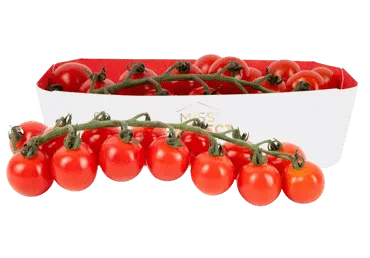 Smulkiavaisiai pomidorai su šakelėmis MIS PERFECT, 350 g