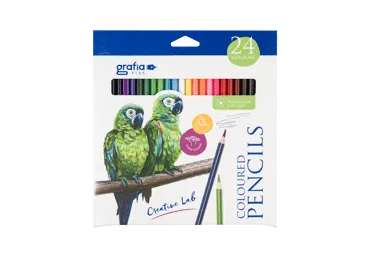 Spalvoti pieštukai, 24 spalvos