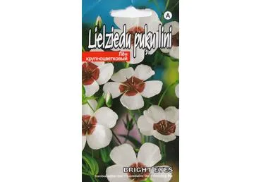 Stambiažiedžiai linai Bright Eyes