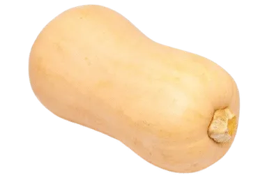 Sviestiniai moliūgai, 1 kg