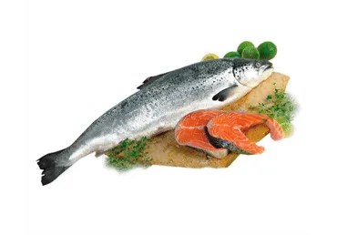 Šviežios Atlantinės lašišos (lot. Salmo Salar), su galvomis, 1 kg