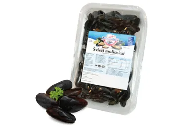 Šviežios paprastosios midijos (lot. Mytilus edulis), 1 kg