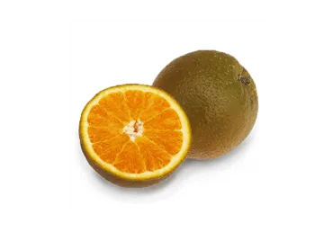 Apelsīni BROWNIE kg