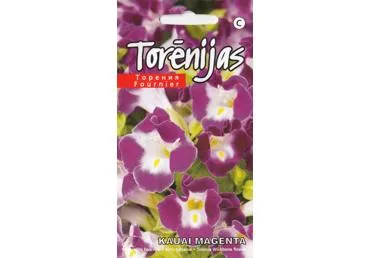 Torenijų sėklos KAUAI MAGENTA