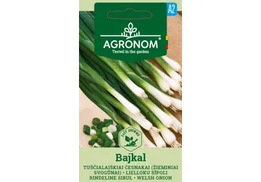 Tuščialaiškių česnakų sėklos BAJKAL,  AGRONOM