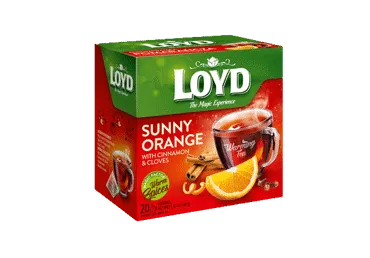 Augļu tēja LOYD Pyramids ar sildošu efektu Sunny Orange ar kanēli un krustnagliņām, 20x2 g