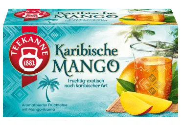 Vaisinė arbata TEEKANNE, mangų skonio, 20 × 2,25 g, 45 g