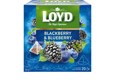 Vaisinė gervuogių ir mėlynių arbata LOYD, 40 g