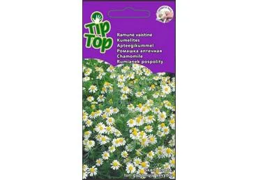Ramunė chamomile