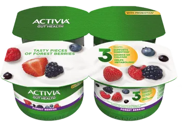 Jogurtas su miško uogomis ACTIVIA, 4 x 120 g, 2,9 % rieb., 480 g