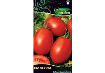 Pomidorai  Rio Grande