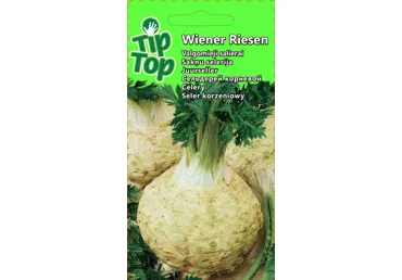 Sēklas: Sakņu selerija GIANT PRAGUE gab.