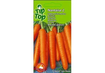 Sēklas: Burkāni NANTAISE2 gab.