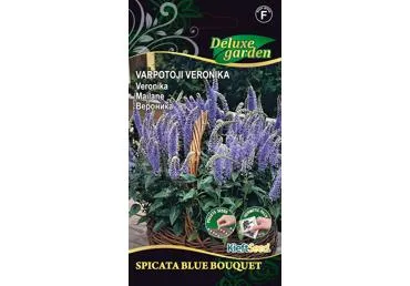 Verbena SPICATA BLUE BOUQUET (darželinė), 1 vnt.