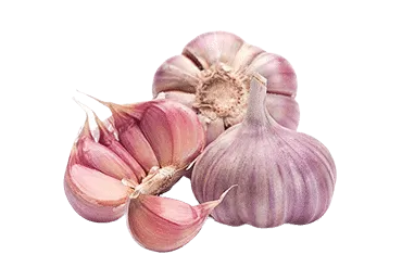 Violetiniai česnakai MOTTE, 150 g