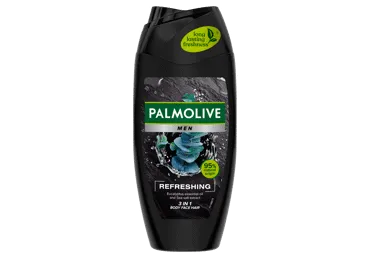 Vyriška dušo želė PALMOLIVE PURE ARCTIC REFRESHING 2 IN 1, 250 ml