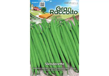 Žemaūgės daržinės pupelės "Slenderette" - 1