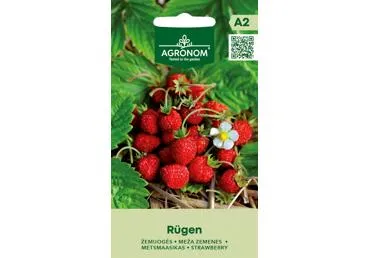 Žemuogės Rugen,  AGRONOM