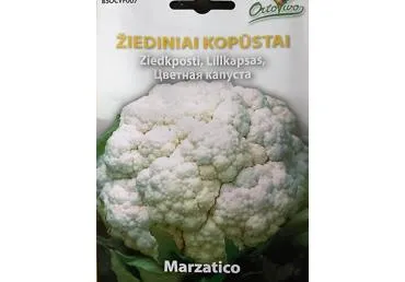 Žiediniai kopūstai „Marzatico“ - 50