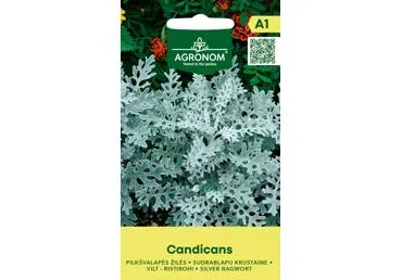 Žilės Candicans,  AGRONOM