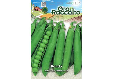 Žirniai (vidutinio aukščio) "Rondo" - 50