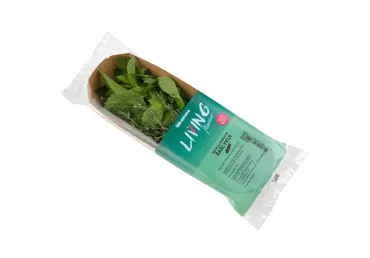 Garšaugu maisījums gaļai 15g