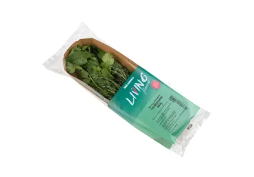 Žolelių rinkinys troškiniams gardinti, 15 g