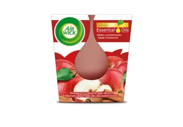 Žvakė AIR WICK, obuolių ir cinamono kvapo, 1 vnt.